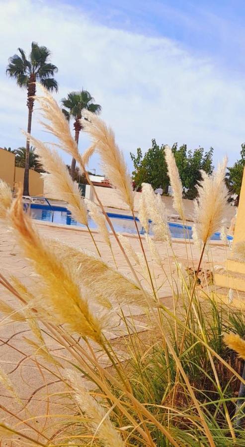 Apartamento Con Piscina En Ciudadela, Cala En Blanes Lägenhet Cala'N Blanes  Exteriör bild