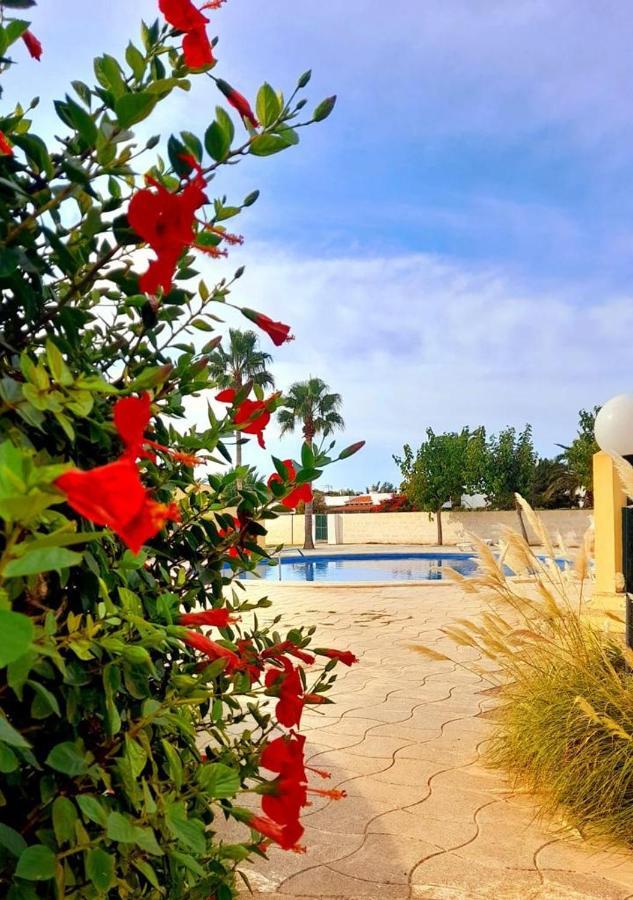 Apartamento Con Piscina En Ciudadela, Cala En Blanes Lägenhet Cala'N Blanes  Exteriör bild